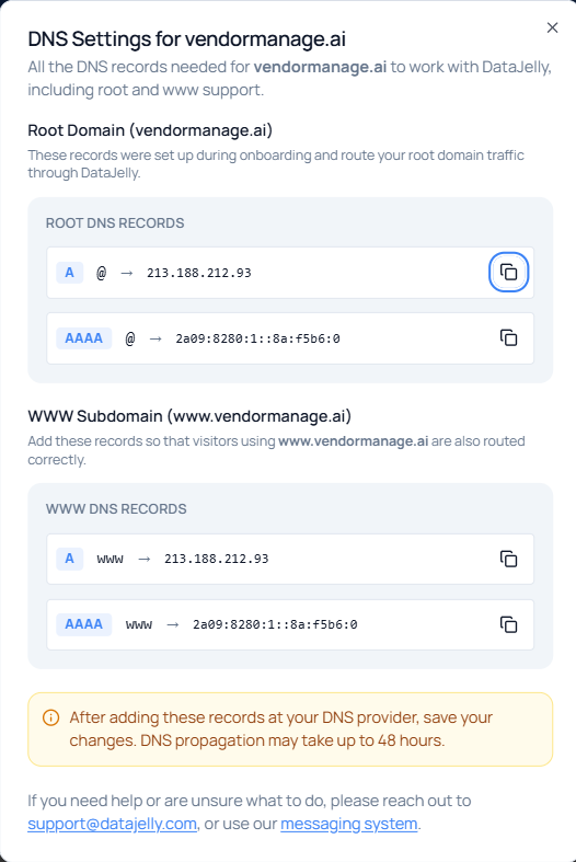 DataJelly DNS Settings showing root and www DNS records with A and AAAA entries for domain setup